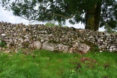 Newbeggin Stone Row (Possible)