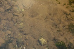 St Helen's Well (Great Asby)