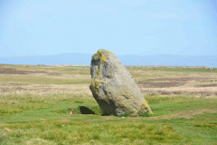 Cop Stone