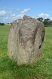 Carlatton Demesne