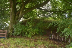 Irthington Motte