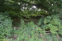 Irthington Motte