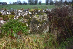 Newbeggin Stone Row (Possible)