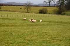 Newton Reigny Enclosure