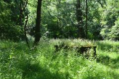 St Michael's Well (Shawk)