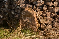 Newbeggin Stone Row (Stone 4)