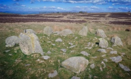 Moor Divock 4 - PID:240437