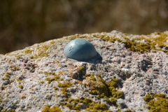 The Galloway Stone