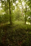 Trainford Brow Long Barrow