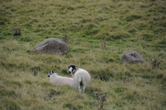 Castlehowe Scar Stone Row
