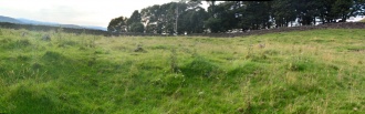 Casterton