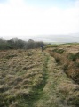 Click for full size image of The Kirk Ring Cairn (PID:129529) The Kirk Ring Cairn