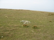 Black Combe - PID:123410
