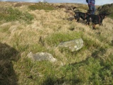 Click for full size image of The Kirk Ring Cairn (PID:129533) The Kirk Ring Cairn