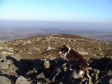 Carrock Fell - PID:3670