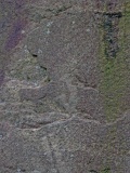 Copt Howe