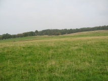 Glannoventa