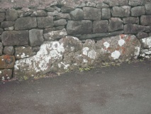 The Priapus Stone