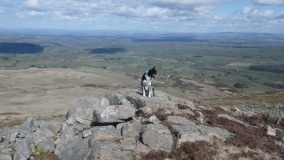Carrock Fell