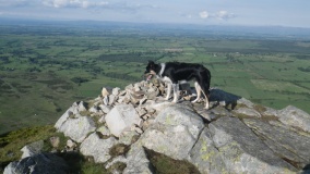 Carrock Fell