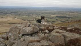 Carrock Fell