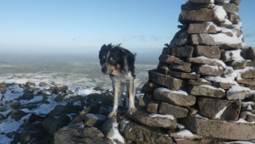 Carrock Fell