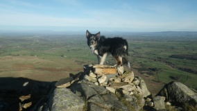 Carrock Fell