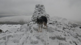Carrock Fell