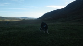 Great Mell Fell Tumulus