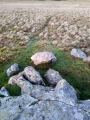 Aughertree fell standing stones - PID:190640
