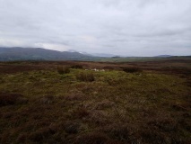 Faulds Brow Banked Cairn