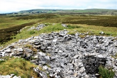 Raiset Pike