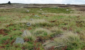 Askham Fell Stone Row