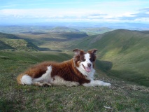 Great Mell Fell Tumulus
