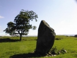 Mayburgh - PID:726