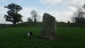 Mayburgh