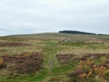Moor Divock 4