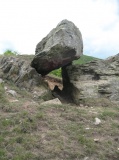 Giants Grave (Woodland)
