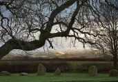 Click for full size image of Long Meg And Her Daughters (PID:267624) Long Meg And Her Daughters