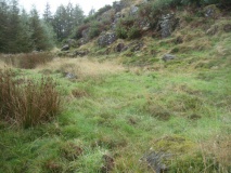 The Hawk Settlement