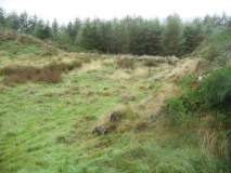 The Hawk Settlement