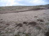 Click for full size image of The Kirk Ring Cairn (PID:129523) The Kirk Ring Cairn