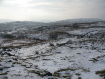 Torver Beck Homestead