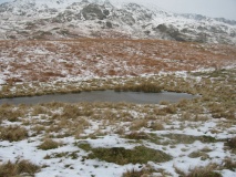 Torver Beck Homestead