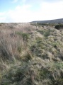 Click for full size image of The Kirk Ring Cairn (PID:129527) The Kirk Ring Cairn