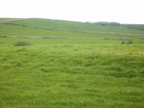 Birkrigg Common Cemetery - PID:120033