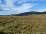 Brat's Hill