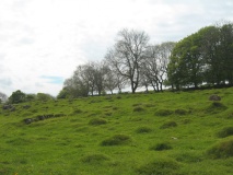 Little Urswick Crags