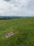Casterton