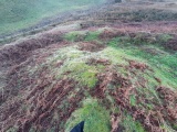 Friar's Well - PID:285609